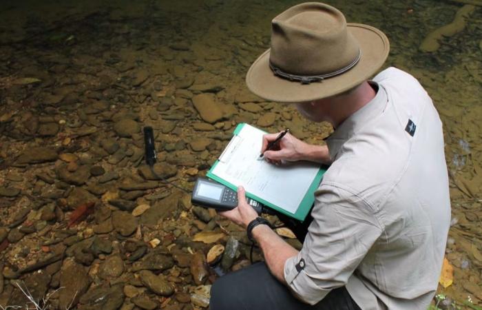 موطنها نهر واحد في أستراليا.. سمكة نادرة تواجه خطر الانقراض