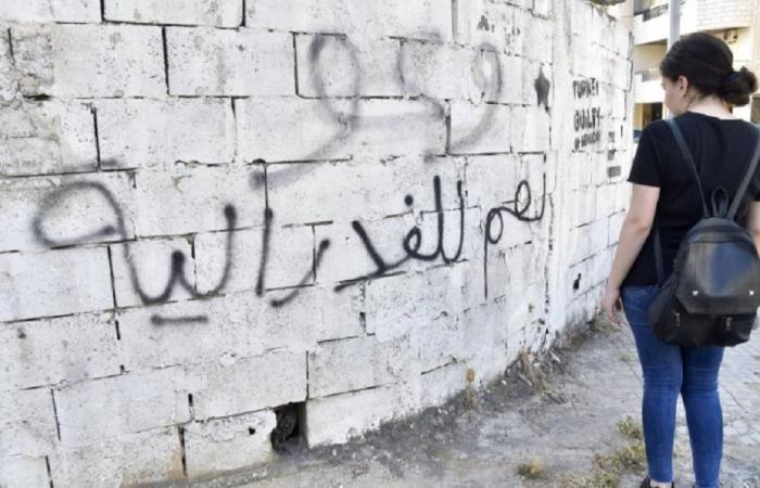 الفدرالية “الإتنو جغرافية”: مبادئ حكم وحوكمة