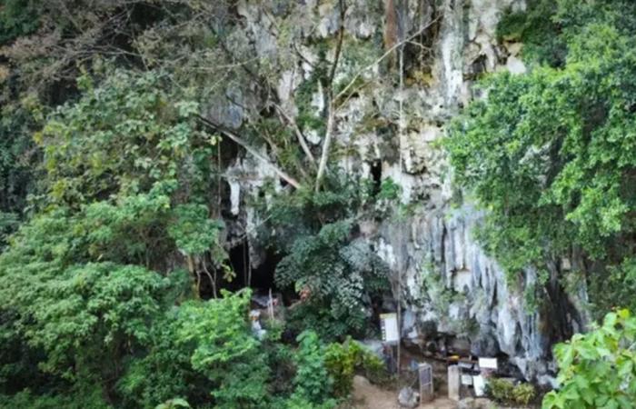 اكتشاف آثار لتعايش البشر وأشباه البشر في إندونيسيا