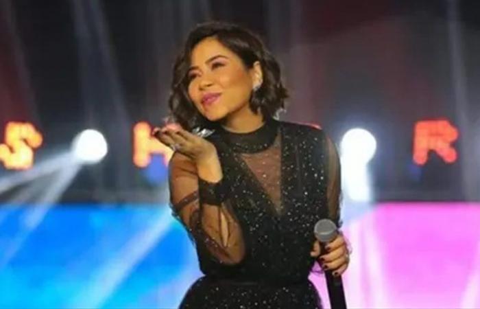 مجدّدًا.. شقيق شيرين عبدالوهاب يشنّ هجومًا على حسام حبيب!