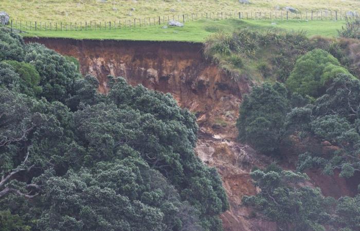 مفقودون بعد انهيار أرضي في نيوزيلندا