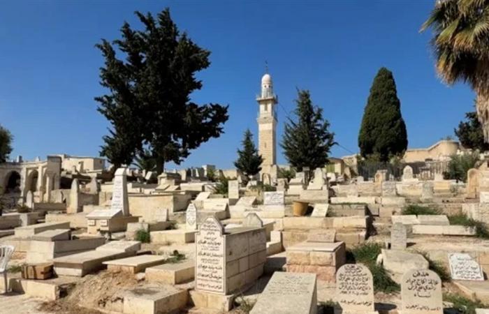 لمدة 36 ساعة.. طفلة صوّرت فيلما بين المقابر وإشادات