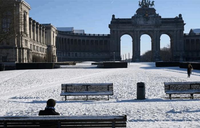 باستخدام الذكاء الاصطناعي.. عصابة تنتحل شخصية العائلة المالكة البلجيكية للاحتيال