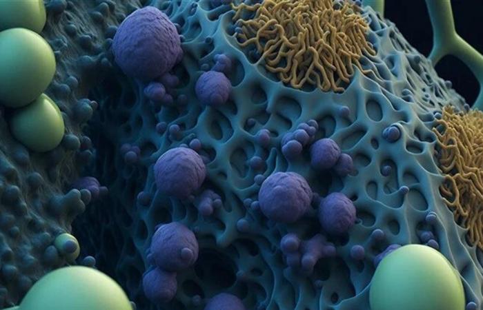 ميكروبات الفم قد تحمل مفتاح الوقاية من السمنة.. اليكم آخر ما توصلت اليه الدراسات