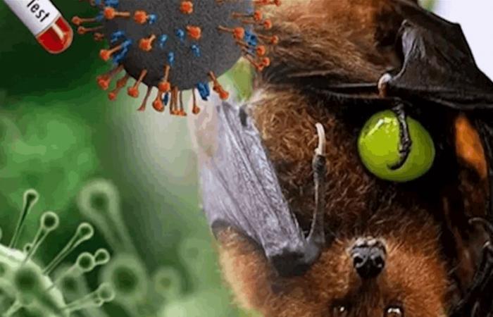 فيروس قاتل ظهر في بلد آسيوي.. تحذير سريع وهكذا تنتقل العدوى