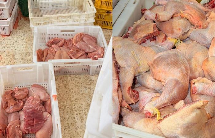 إجراءات الوقاية من عدوى السالمونيلا