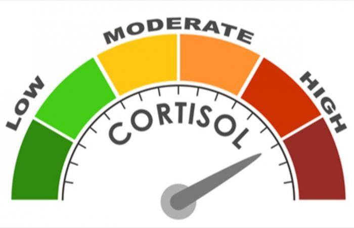ما الآثار الصحية لارتفاع هرمون "الكورتيزول"؟