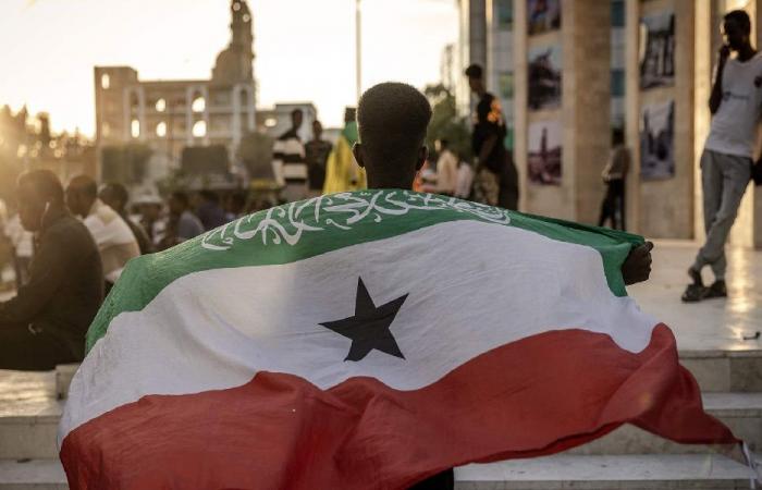 الصومال يُعلن إبرام اتفاق عسكري مع السعودية