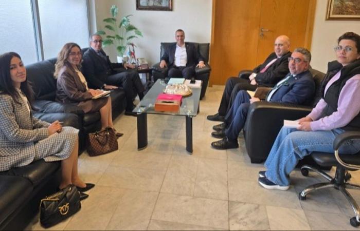 وزير الزراعة بحث مع سفير مصر تنظيم استيراد البطاطا