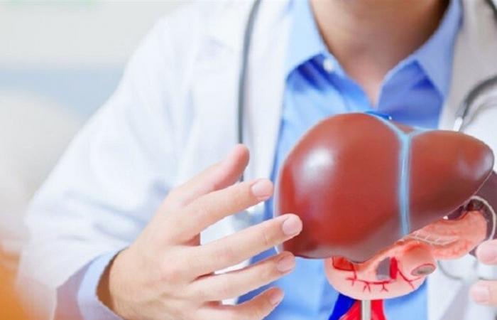 هذا دور الكوليسترول في تدهور صحة الكبد.. باحثون يحذرون
