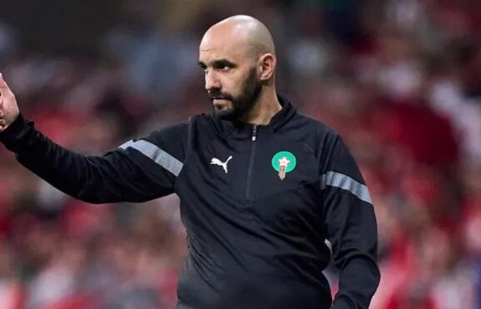 وليد الركراكي مرشح لخلافة دي زيربي في تدريب برايتون الإنجليزي