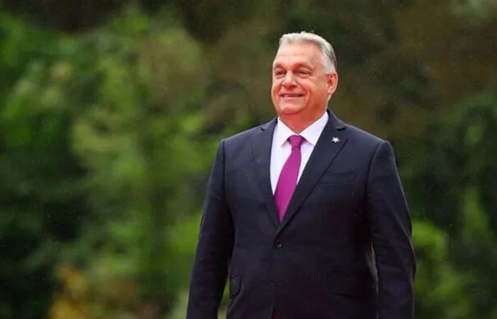 الرئيس الأوكراني يسخر من "بطن" رئيس وزراء هنغاريا