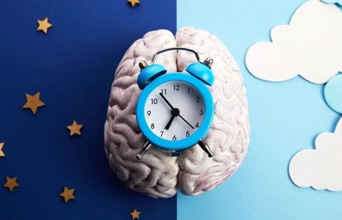 أمور مهمة جداً.. هكذا تؤثر الساعة البيولوجية على الصحة