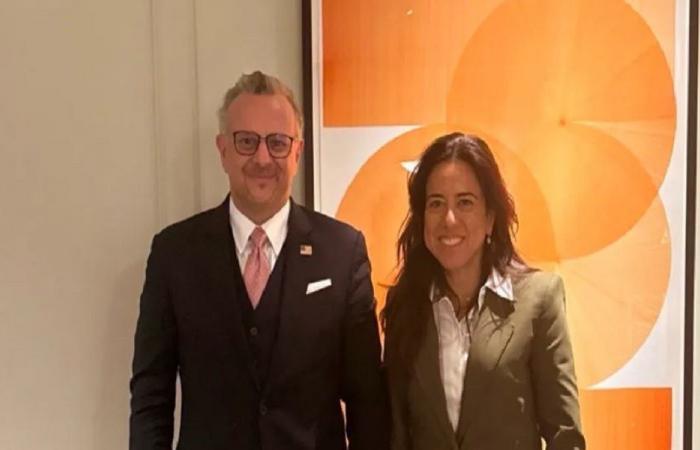 بولس يؤكد أهمية التنسيق مع الإمارات في القضايا الإقليمية