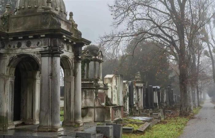 "جريمة المقبرة" في النمسا.. مراهقة تقتل امرأة طعناً في وضح النهار