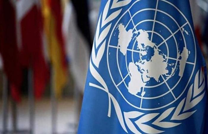 الأمم المتحدة: إسرائيل تسعى لـ”تغيير ديموغرافي دائم” في الضفة وغزة