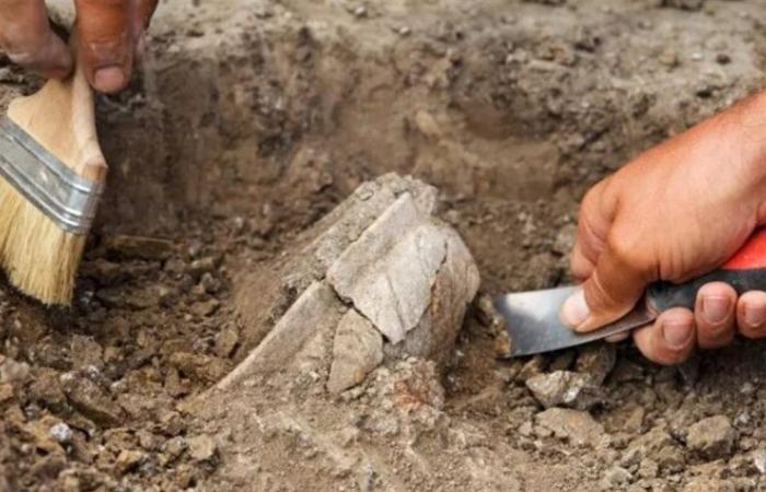 في حديقة منزل أميركي.. اكتشاف أثري روماني نادر