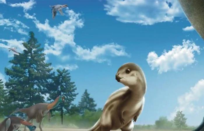 ليس كما في الأفلام.. اكتشاف ديناصور في كوريا بحجم "كلب" صغير