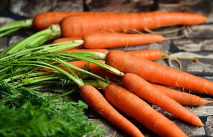 تعزيز النظر والمناعة والهضم.. تعرف على فوائد الجزر