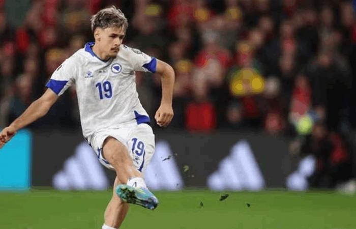 البوسنة تقلب المشهد في كارديف.. وتضرب موعداً مع إيطاليا