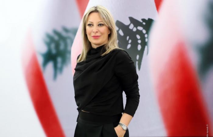 أيوب: السفير الإيراني خارج عن القانون