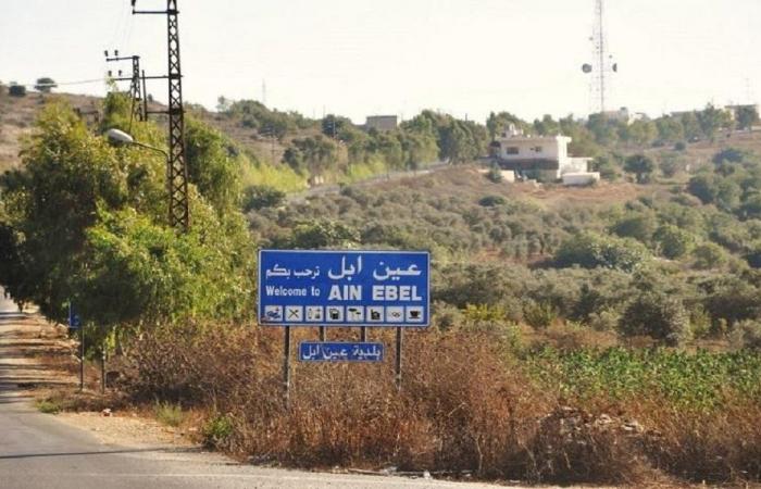 رئيس بلدية عين إبل: قرار مغادرة القوى الامنية صادم ونخشى المرحلة المقبلة