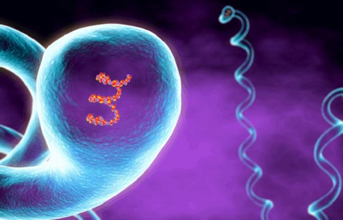 مرض نادر وخطير يهدد سكان ولاية أميركية.. هذه أعراضه