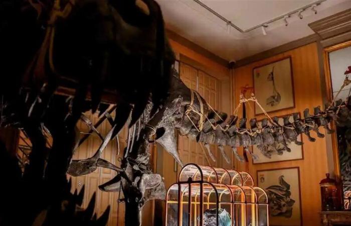 ليست مجرد إكسسوار.. أغلى حقيبة في العالم مصنوعة من "جلد الديناصور"