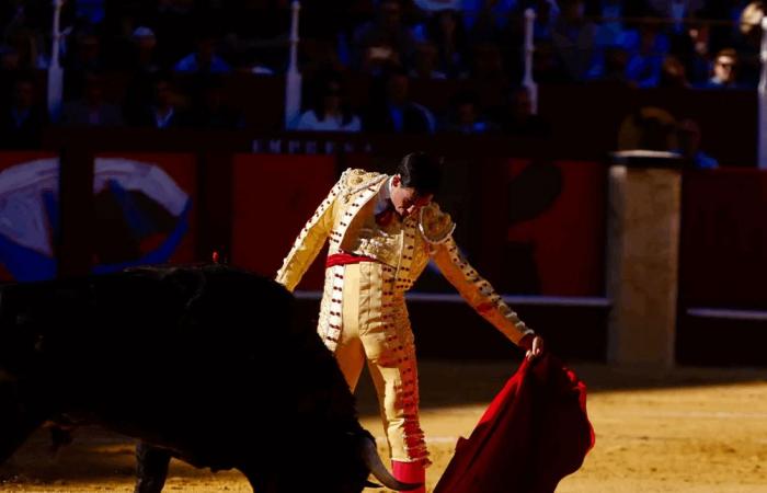 ثور ينهي حياة مصارع متقاعد في إسبانيا