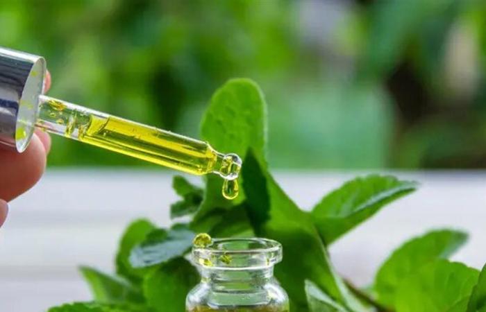 هل يخفف زيت النعناع الصداع في دقائق؟