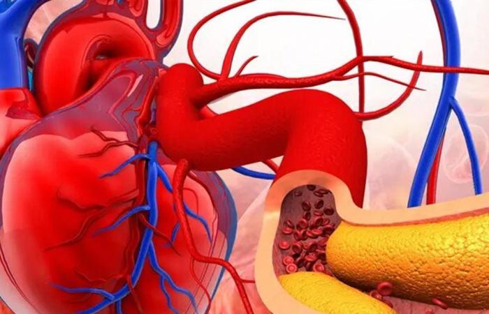 دون تدخل معقد.. تقنية جديدة لفحص شرايين القلب