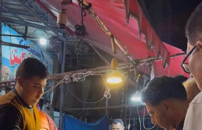 بالصور... إنقاذ سلحفاة بحرية نادرة!