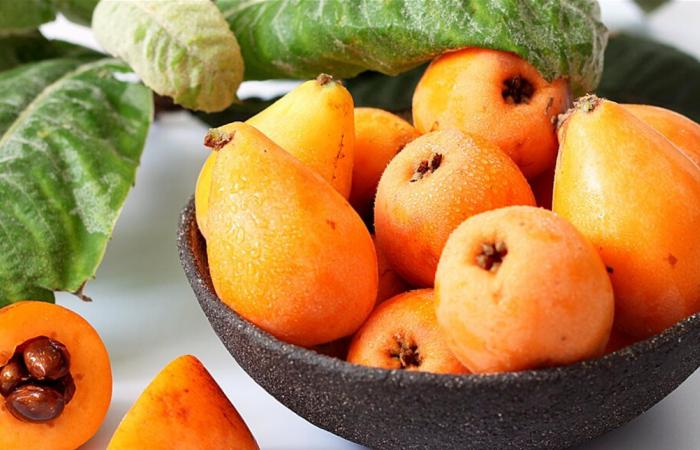 موسم "الأكدنيا" بدأ.. فوائد قد لا يعرفها كثيرون