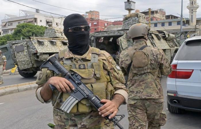 الجيش: باشرنا التحقيقات بحادثة الهجوم على اليونيفيل