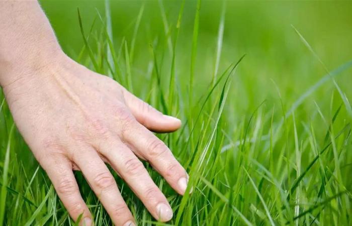 بـ"صفر" تكلفة.. حيل بسيطة تغير جودة حياتك وتغنيك عن المصاريف الباهظة