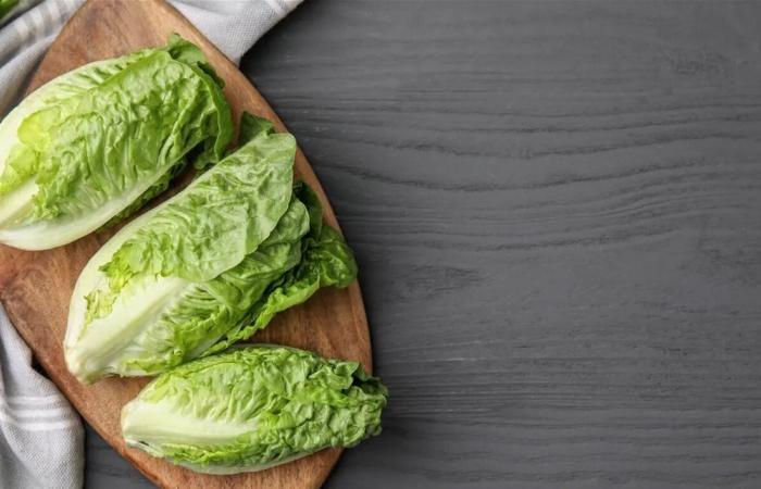 لماذا يُنصح بإدخال الخس في النظام الغذائي اليومي؟