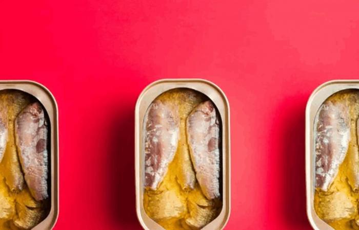 صيحة "سردين ماكسينغ".. فوائد غذائية حقيقية وحدود لا ينبغي تجاوزها