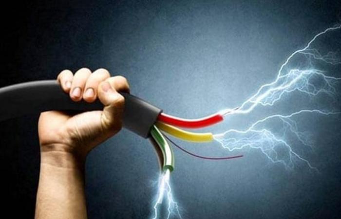 صعق كهربائي ينهي حياة عامل داخل حديقة في مصر