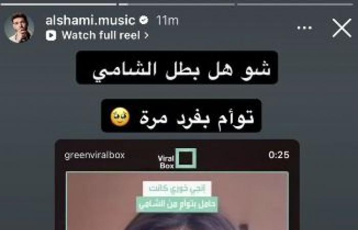 بعد إعلانها حملها منه بتوأم... هكذا ردّ الشامي على أنجي خوري (صور)