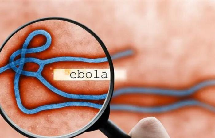 بعد تسجيل 71 إصابة جديدة.. الكونغو تحذر من انتشار سريع لإيبولا