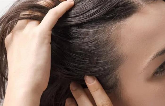 بين الفوائد الصحية والتريند.. اليكم الوصفة الذهبية للشعر