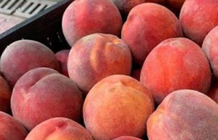 ماهي أفضل الأوقات لتناول الخوخ لتعزيز الطاقة والنشاط؟