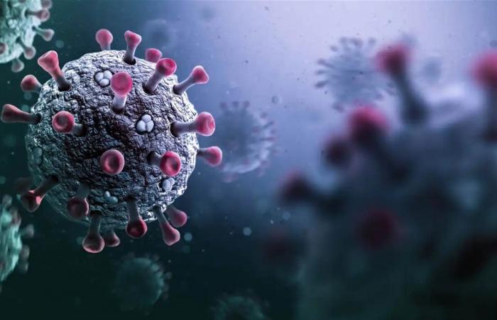 فيروس نادر يُثير مخاوف عالمية... لا علاج له وهذه أبرز أعراضه