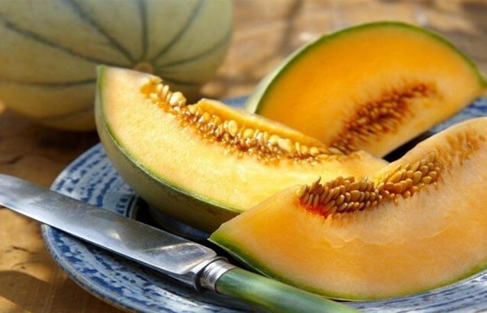 طبيبة تحذر من البطيخ الأصفر: قد يسبب مضاعفات صحية لفئات من المرضى