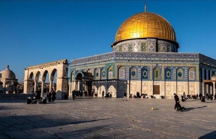 8 دول عربية وإسلامية تهاجم إسرائيل