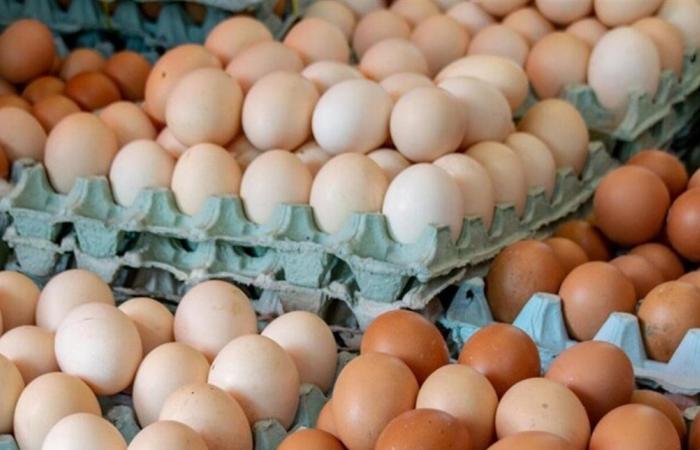 سحب كميات كبيرة من البيض في أميركا... ما السبب؟