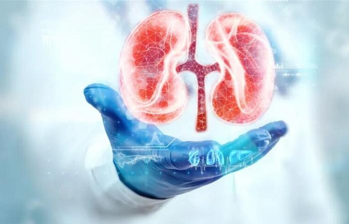 عادة يومية تقلل خطر حصى الكلى.. ما هي؟
