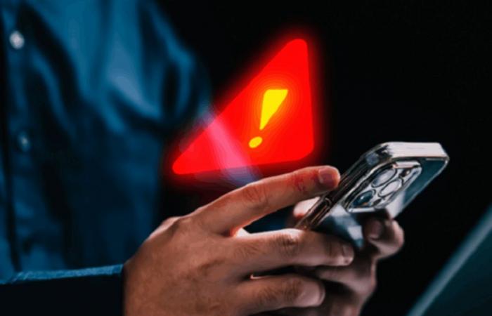 من خلال إعلانات وهمية.. عصابة تستدرج المواطنين وتسرق بياناتهم المصرفية!