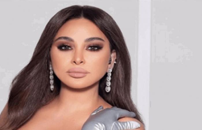 "تعا قيمني"... شاهدوا بالفيديو ما حصل بين إليسا ومرافقها خلال حفلها في بيروت