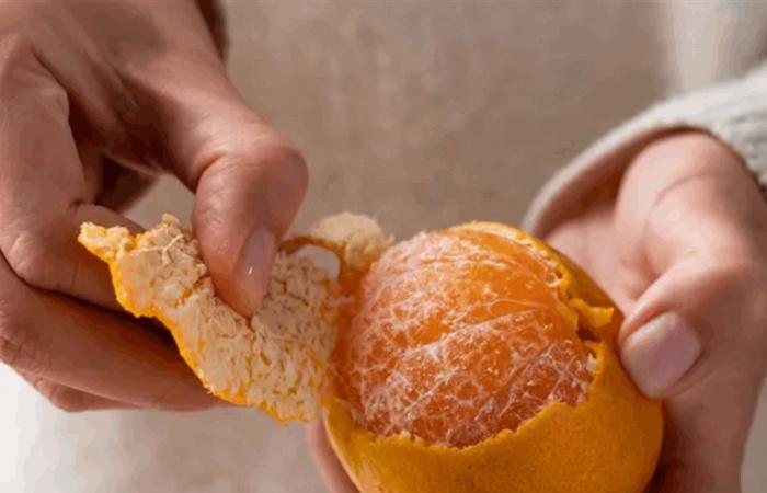 مع تفشي "السيكلوسبورا".. أي خضار وفاكهة أقل خطراً؟